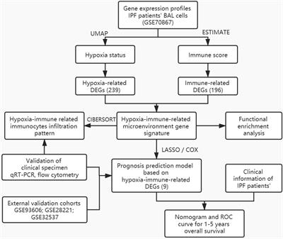 Investigation of a Hypoxia-Immune-Related Microenvironment Gene Signature and Prediction Model for Idiopathic Pulmonary Fibrosis